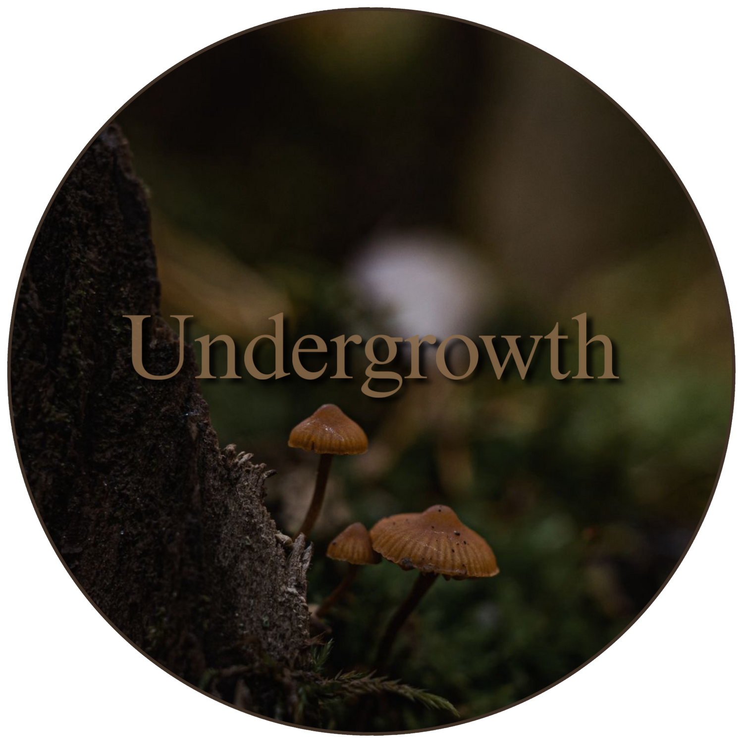 1.Collezione Undergrowth